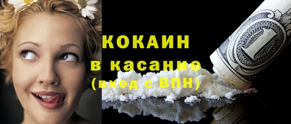 2c-b Бородино