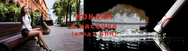 2c-b Бородино