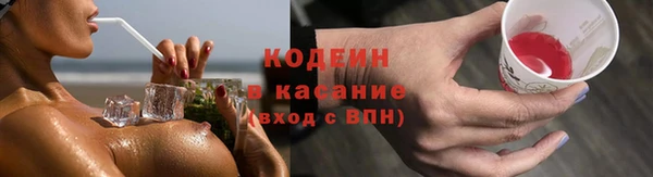 2c-b Бородино