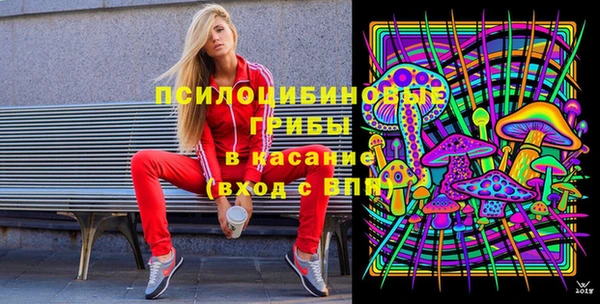2c-b Бородино