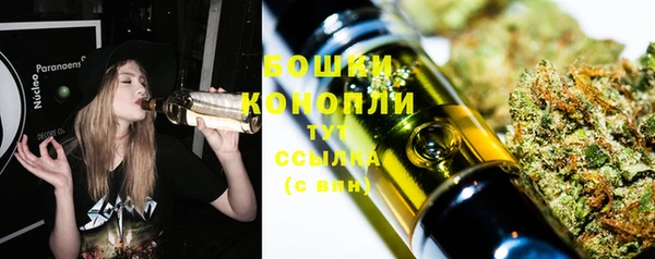 2c-b Бородино