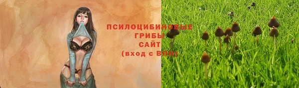2c-b Бородино