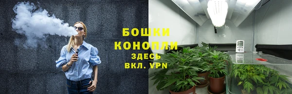 2c-b Бородино